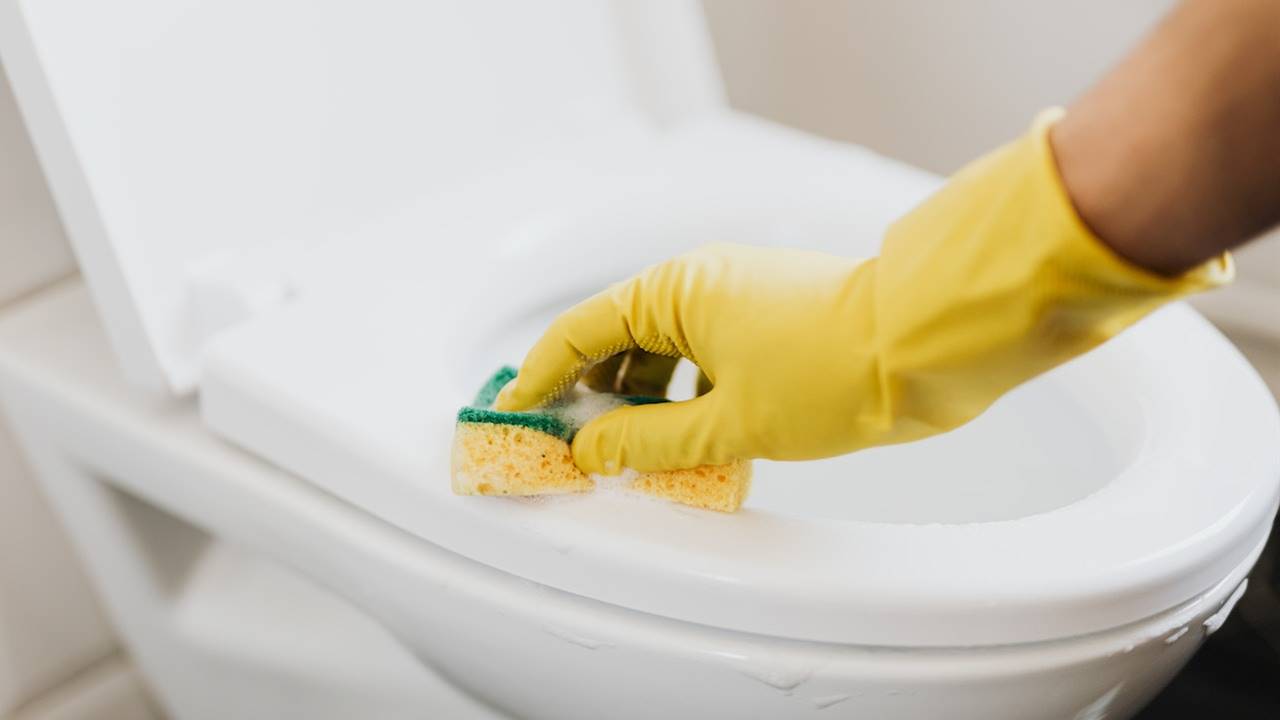 How to clean the water with 6 homemade products How to clean the water with 6 homemade products