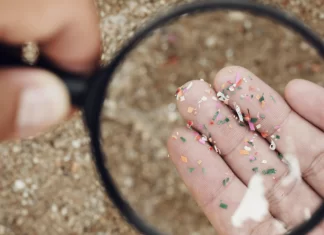 Microplastics Found in Clogged Arteries Linked to Greater Risk of Heart Attack and Stroke