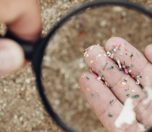 Microplastics Found in Clogged Arteries Linked to Greater Risk of Heart Attack and Stroke